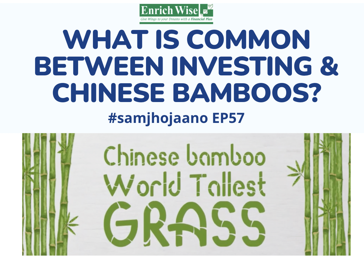 Equity Investing and Chinese Bamboos, Retirement planning, INvesting